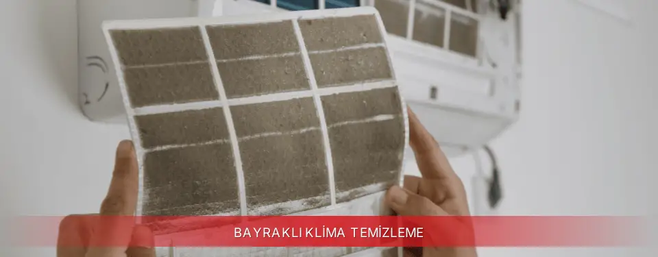 Bayraklı İlçemi Regal Klima Temizleme